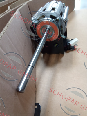 RPM - Motori elettrici-C030200 price
