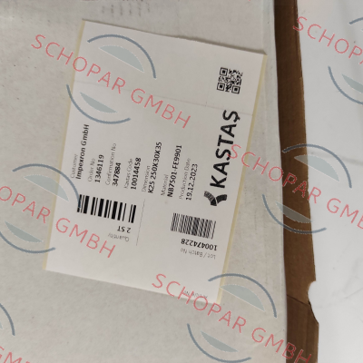 Kastas Sealing-10014458 - K25 250X30X35 price