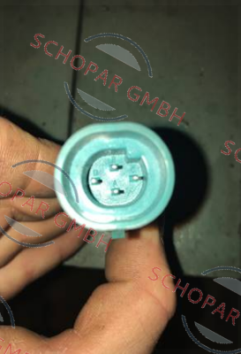 Bedia-350208 price