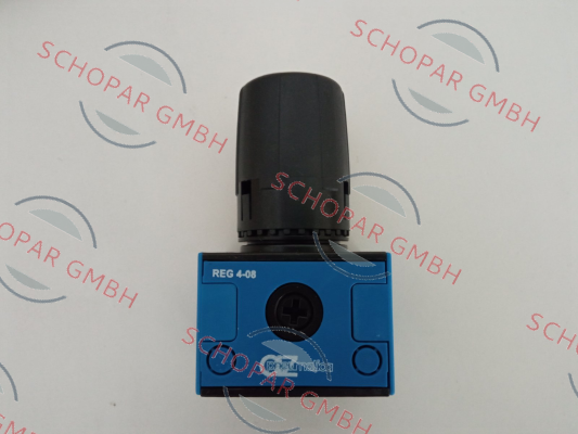 AZ Pneumatica-REG 4-08 (16.009.3) price