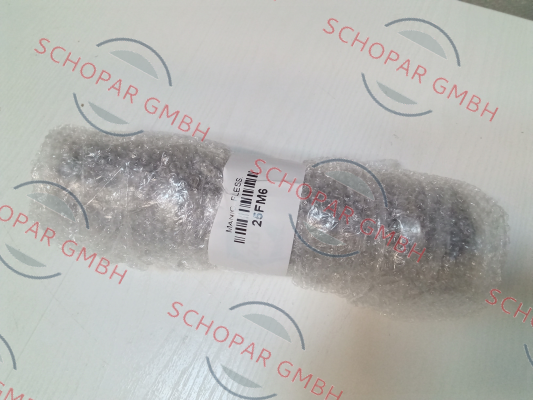 Fpz-25FM6-1M price