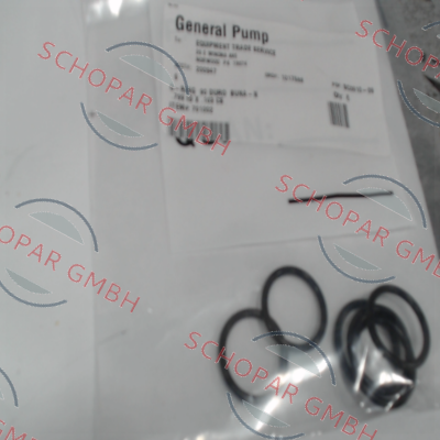 General Pump-701002 price