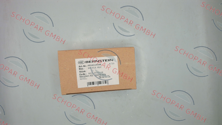 Bernstein-P/N: 6016119184, Type: SK-U1Z M12 price