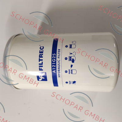 Filtrec-A121G25 price