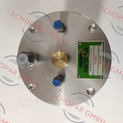 Rebs Zentralschmiertechnik-1192208 price