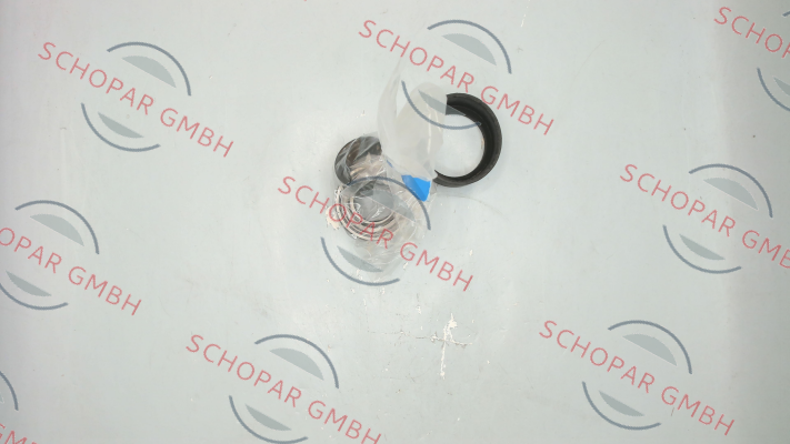 Chaysol-Set of bearing stars with bearings for V 630002 DA 7/7 RTC price