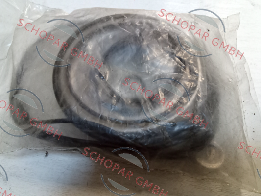 Brevini-ARS/ARSW Seal Kit price