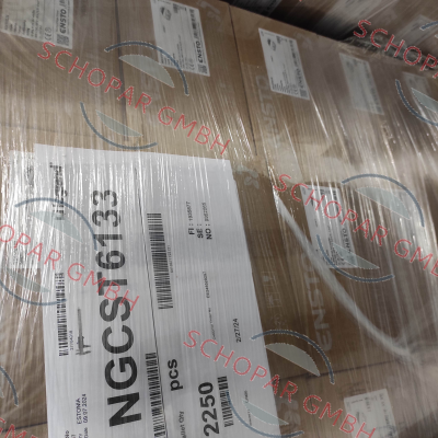 Ensto-NGCST6133 price