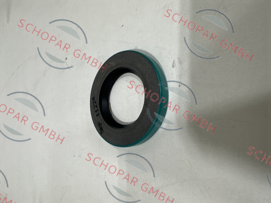 Gorman Rupp-S389 price