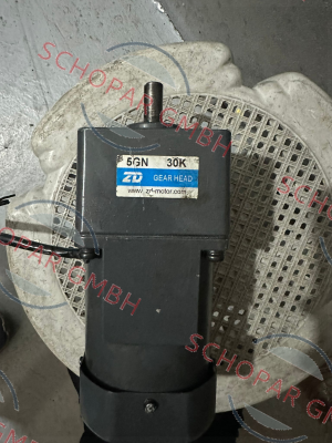 ZD-Motors-5GN30K price