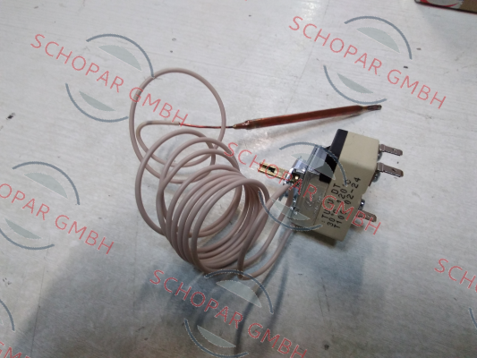 CAEM-99288 price
