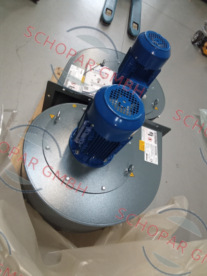 Moro-RL310/2 (07/20-02810/02-002) price