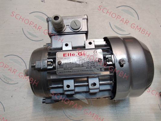 ELLE GI SRL-0.12KW 6-POLE P63 B14 price