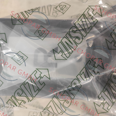 INSIZE-6888-3 price