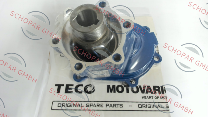 Motovario-3043876 price