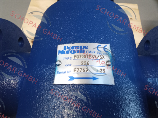Pompe Morgan-PQ-300TMSY price