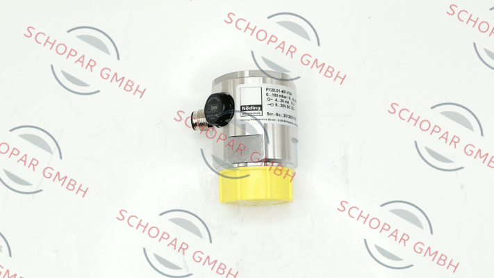 Nöding Messtechnik-P120.01-401-F3A price