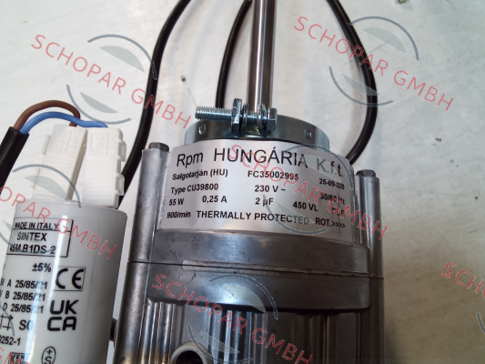 Rpm Hungaria-CU39800 price
