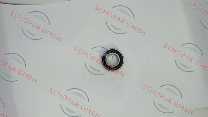 Dietz-Motoren-6205 2RS C3 / 260439 price