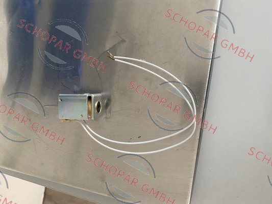 Mecalectro-8.56.24.62T (250W-125VDC-SI) price