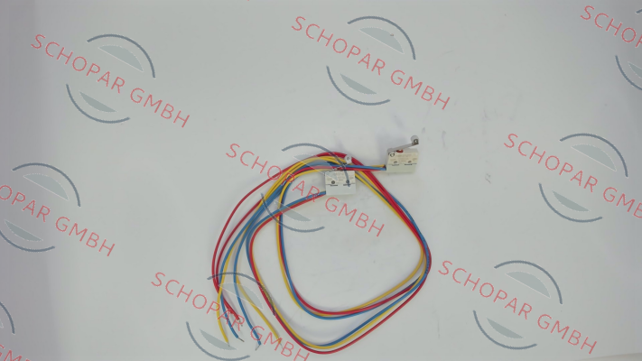 Saia-Burgess-V4NSYRUL price