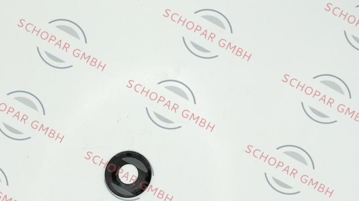 Schnorr-011500 price