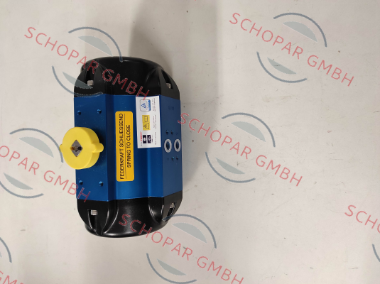 AMG Pesch-BR03-SAF / 166705 price