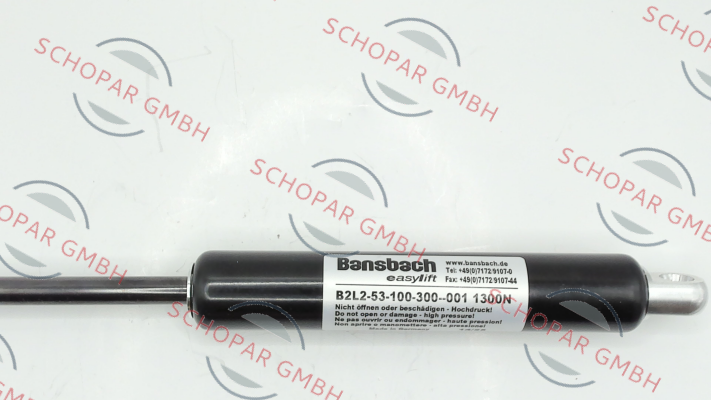 Bansbach-B2L2-53-100-300--001/1300N price