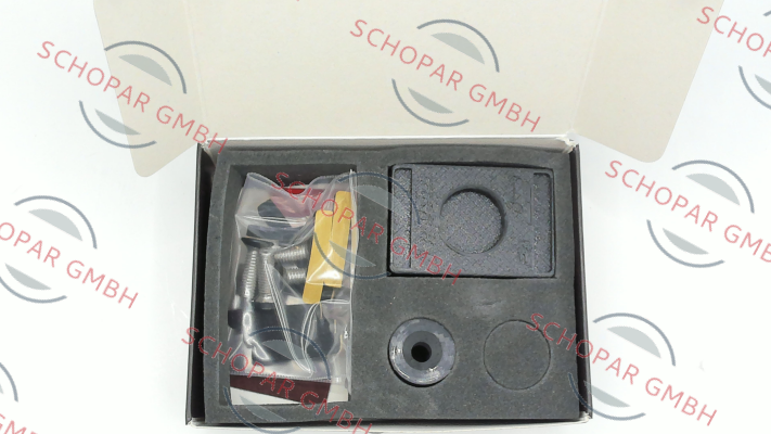 Ccultec-V3 carbon price