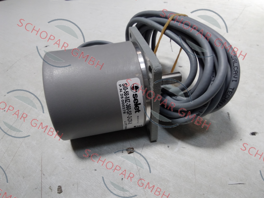Selet-SI-0-58-MZ-360-SP-2-CR-8 price