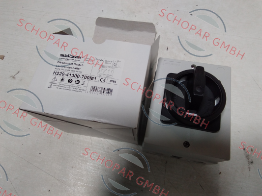 Salzer-H220-41300-700M1 price