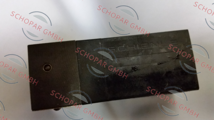 Schienle-WE05-4P100D24/0H price
