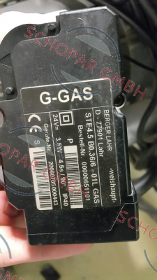 Weishaupt-STE4,5 B0.36/6-01L GAS price