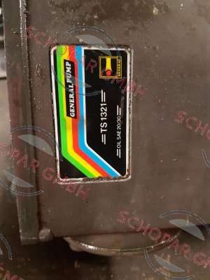 General Pump-TS 1321 price