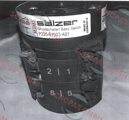 Salzer-P220-61003-219M1 price