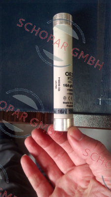 OEZ-PT22-16 A gG  price