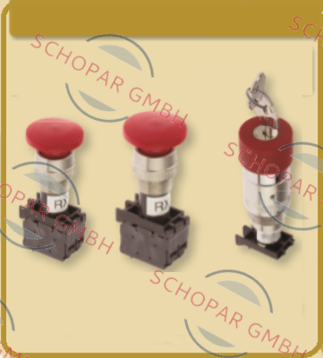COELBO-RS2FRR-11 price