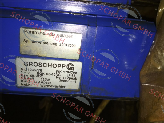 Groschopp-WK 1794709,11036776 OEM  price