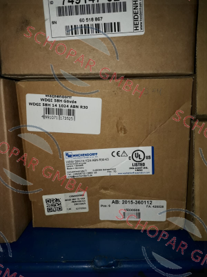 Wachendorff-WDGI 58H-14-1024-ABN-R30-K3 price
