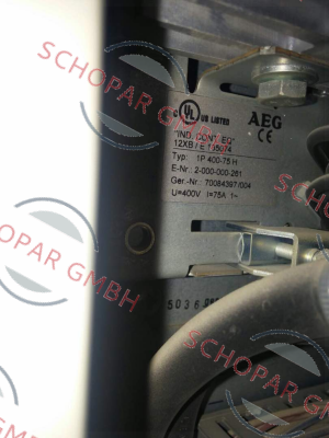 AEG-1P 400-75 H price