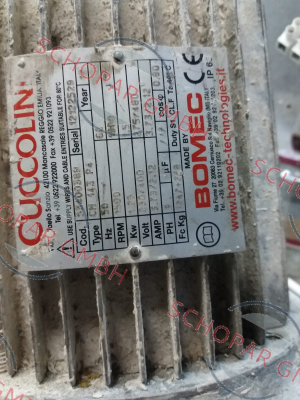 Cuccolini-53400389 price