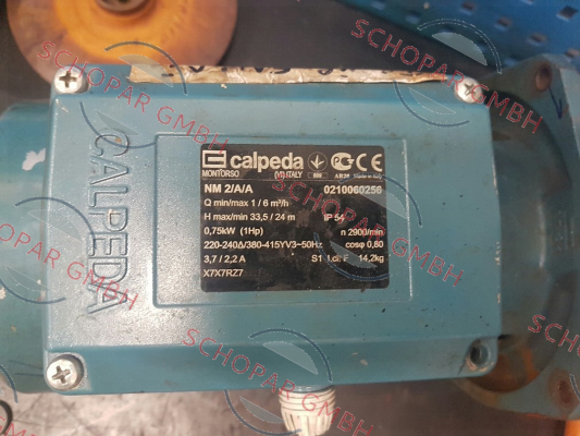 Calpeda-16006140000 price