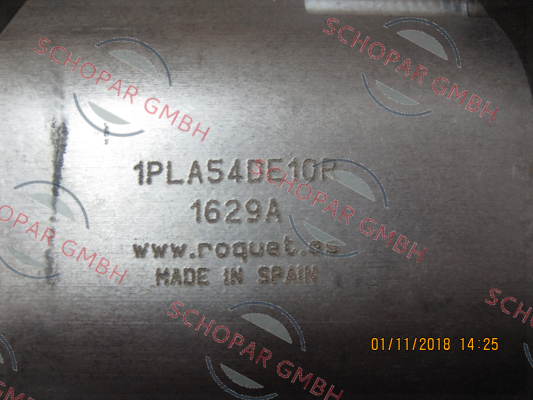 Roquet pump-1PLA54DE10R P1BRN3036L10 price