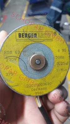 Berger Lahr (Schneider Electric)-old code RSM 63 8 NG new code RSM63/8 NdG price