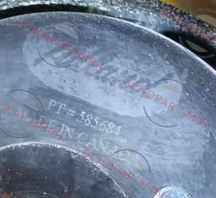 Fife-M367181 price