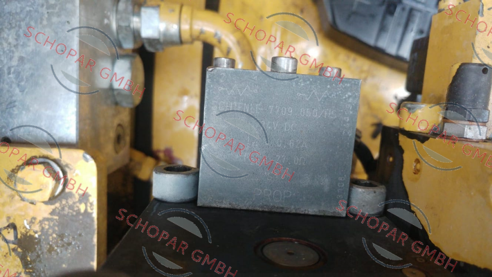 Schienle-deleted dfgdfgd price
