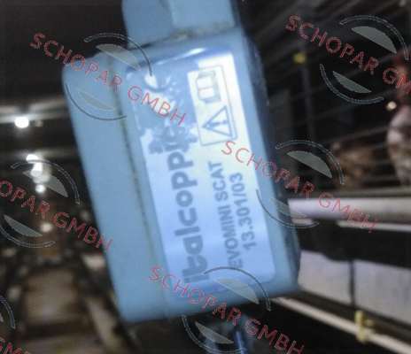 italcoppie-EVOMINI　SCAT　DP1BOX price