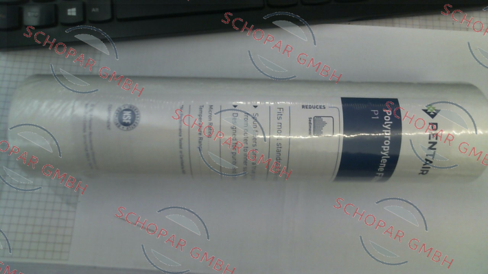 Pentek (Pentair)-PN: 155225-43 Type: P1 9 7/8" price