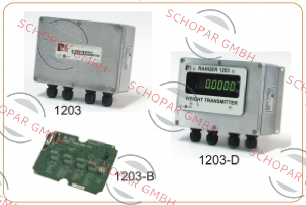 Rinstrum-1203 price