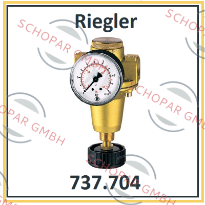 Riegler-P/N: 100893 Type: 737.704 price